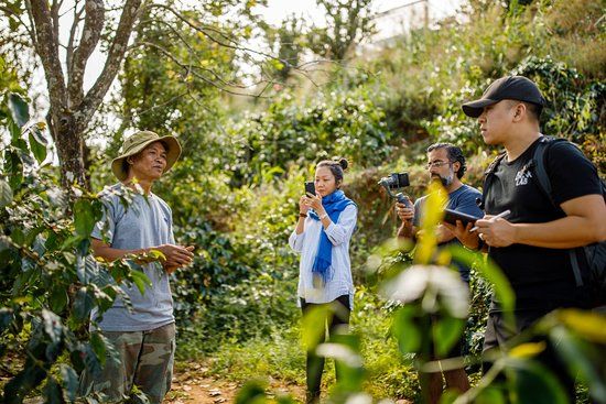 Son Pacamara Specialty Coffee Farm